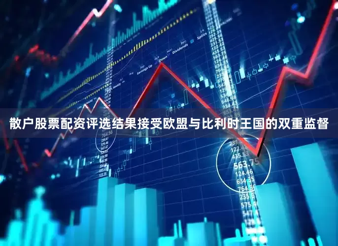 散户股票配资评选结果接受欧盟与比利时王国的双重监督