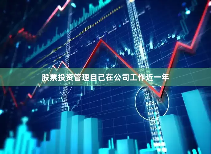 股票投资管理自己在公司工作近一年